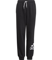 Adidas Essentials Big Logo Pant Jr, czarny