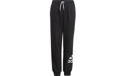 Adidas Essentials Big Logo Pant Jr, czarny