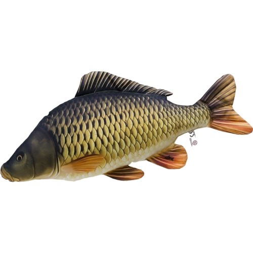 Poduszka The Common Carp