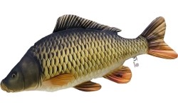 Poduszka Karp