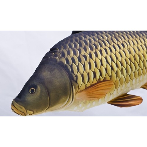 Poduszka Karp