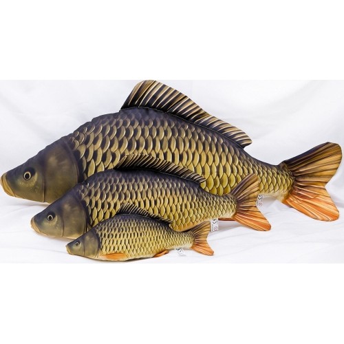 Poduszka Karp