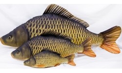 Poduszka Karp