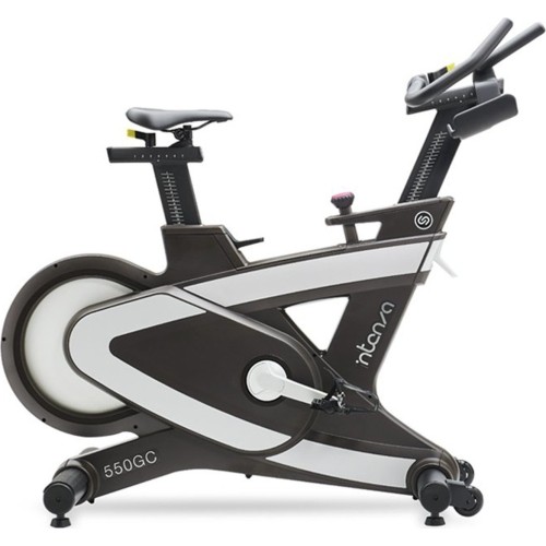 Stacjonarny rower treningowy Intenza Fitness 550GC