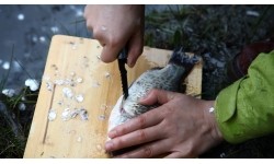 Łopata Origin Outdoors Survival 10in1, 50cm