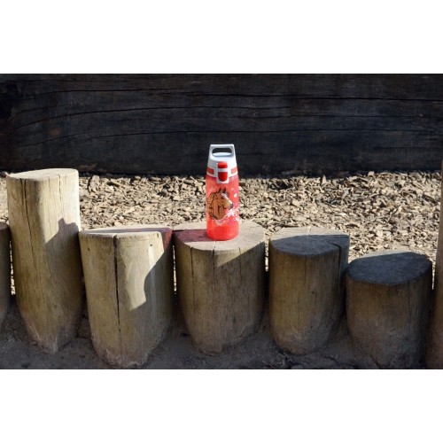 Butelka podróżna sportowa do picia dla dzieci SIGG Viva Kids One - 0,5l, Konie