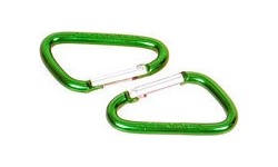 Karabińczyk Coghlans