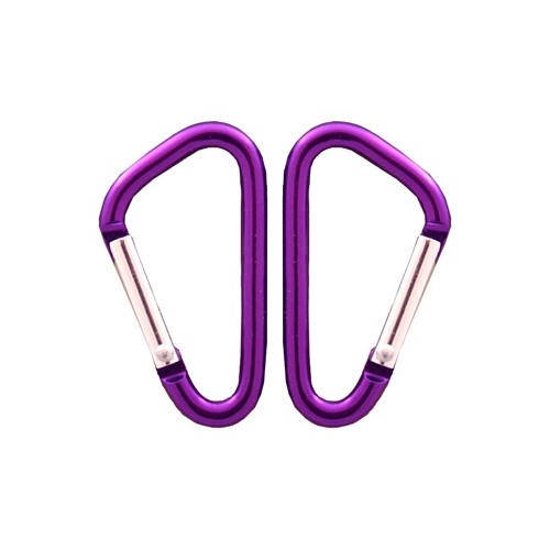 Karabińczyk Coghlans