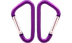 Karabińczyk Coghlans