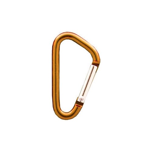 Karabińczyk Coghlans