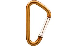 Karabińczyk Coghlans