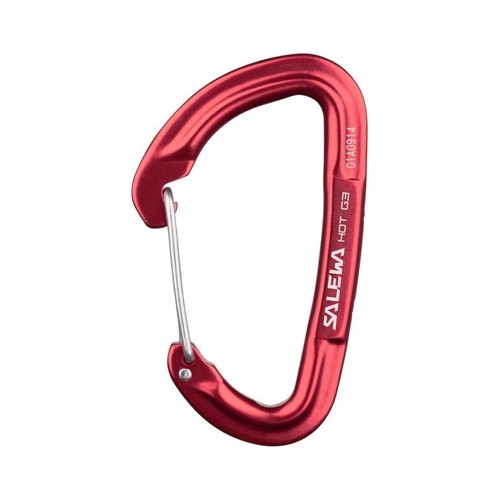 Karabińczyk Salewa Hot G3 Wire - Zielony