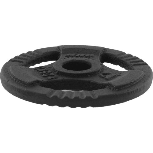 Obciążnik żeliwny z uchwytami Platinum Fitness Beltor HRD System Line, 1,25kg, 29mm