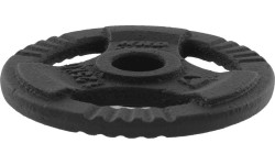 Obciążnik żeliwny z uchwytami Platinum Fitness Beltor HRD System Line, 1,25kg, 29mm