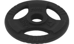 Obciążnik żeliwny z uchwytami Platinum Fitness Beltor HRD System Line, 1,25kg, 29mm