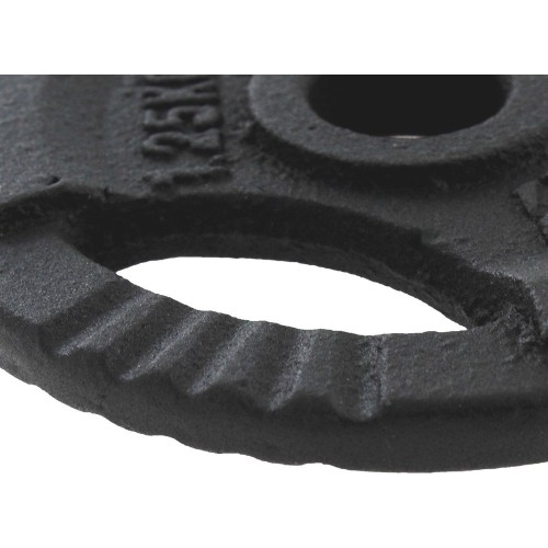 Obciążnik żeliwny z uchwytami Platinum Fitness Beltor HRD System Line, 1,25kg, 29mm