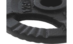 Obciążnik żeliwny z uchwytami Platinum Fitness Beltor HRD System Line, 1,25kg, 29mm