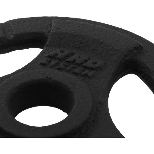 Obciążnik żeliwny z uchwytami Platinum Fitness Beltor HRD System Line, 1,25kg, 29mm