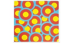 Tarcza łucznicza Yate Salad, 63x63 cm, 10 szt.