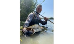 Kołowrotek Zfish Catfish Zeus ZX 8000