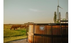 Basen EXIT Wood ø427x122cm z pompą i filtrem - brązowy