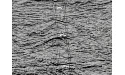 Pokrywa basenowa EXIT 220x150cm