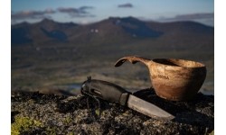 Iskra towarzysząca Moraknivowi (S) - Green