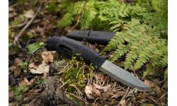 Iskra towarzysząca Moraknivowi (S) - Green