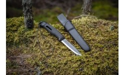 Iskra towarzysząca Moraknivowi (S) - Green