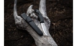 Iskra towarzysząca Moraknivowi (S) - Green