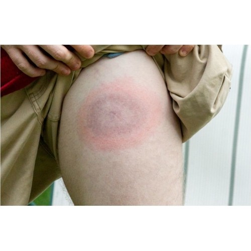 Mleczko repelent Mugga 50% DEET 50 ml