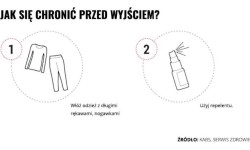 Mleczko repelent Mugga 50% DEET 50 ml