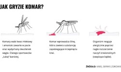 Mleczko repelent Mugga 50% DEET 50 ml