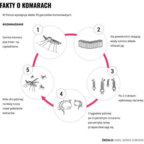 Mleczko repelent Mugga 50% DEET 50 ml