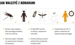 Mleczko repelent Mugga 50% DEET 50 ml