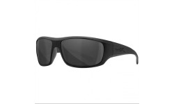 Okulary Wiley X Omega ACOME01 smoke grey