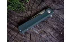 Nóż składany Ganzo Firebird FH11-GB