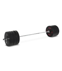 Pivot Fitness Pro Training Bumper chromowany zestaw obciążeń 170 kg