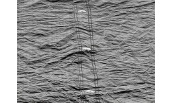 EXIT Osłona na trampolinę prostokątna 244x366cm Osłona na trampolinę