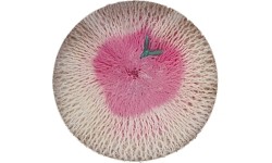 Siateczka żarowa do lamp Campingaz