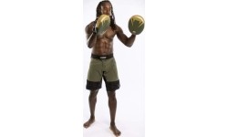 Rękawice bokserskie Venum Pro Big Punch Mitts (para) - Khaki/Gold