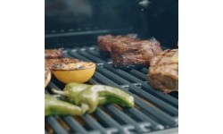 Dujinis grilis Char-Broil Professional Pro S 2