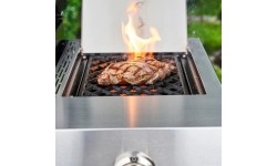 Dujinis grilis Char-Broil Professional Pro S 3