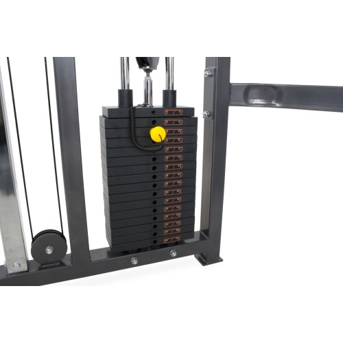 Podwójne regulowane koło pasowe Pivot Fitness 820