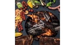Grill węglowy Aukuras Remundi - Zelos S