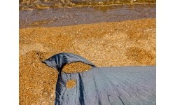 Koc piknikowy BasicNature Beach, 215x275 cm