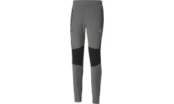 Spodnie męskie Puma BMW MMS Sweat Pants, szare 598002 03