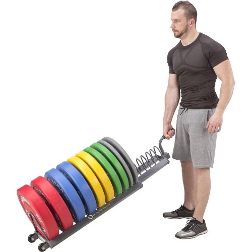 WPT01 STOJAK NA OBCIĄŻNIKI HMS PREMIUM