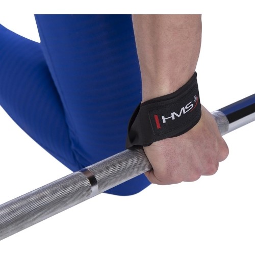 F4433 PASY DO PODNOSZENIA HMS