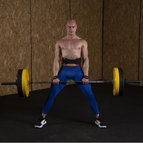 F4433 PASY DO PODNOSZENIA HMS